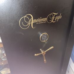 Weapon Safe
