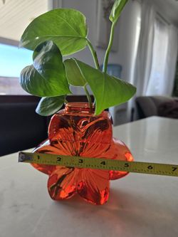 Flower Plant 
