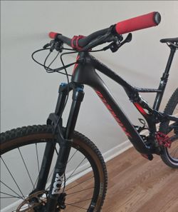 Specialized Stumpjumper FSR Carbon Large 29