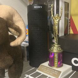 Sony Bluetooth Speaker