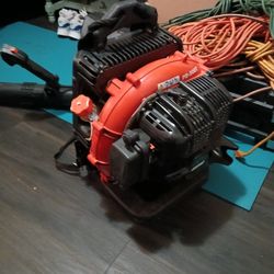 Echo Blowair For Sale Asking 150 Or Best Offer