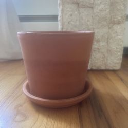 6.5" terracotta pot with saucer