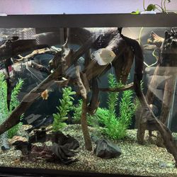 Aquarium / Fish Logs And Decor 