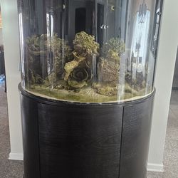 Half round acrylic marine aquarium