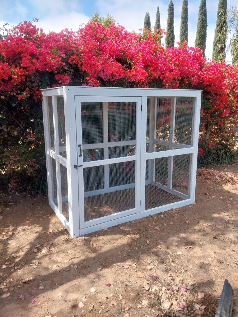 Chicken Coop New!