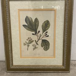 Original Signed La Roche Laffitte Watercolor of Sassafras on Silk Paper - Matted & Framed