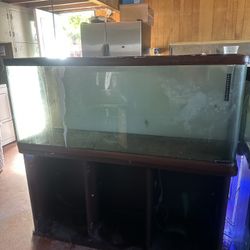 60g curved tank 