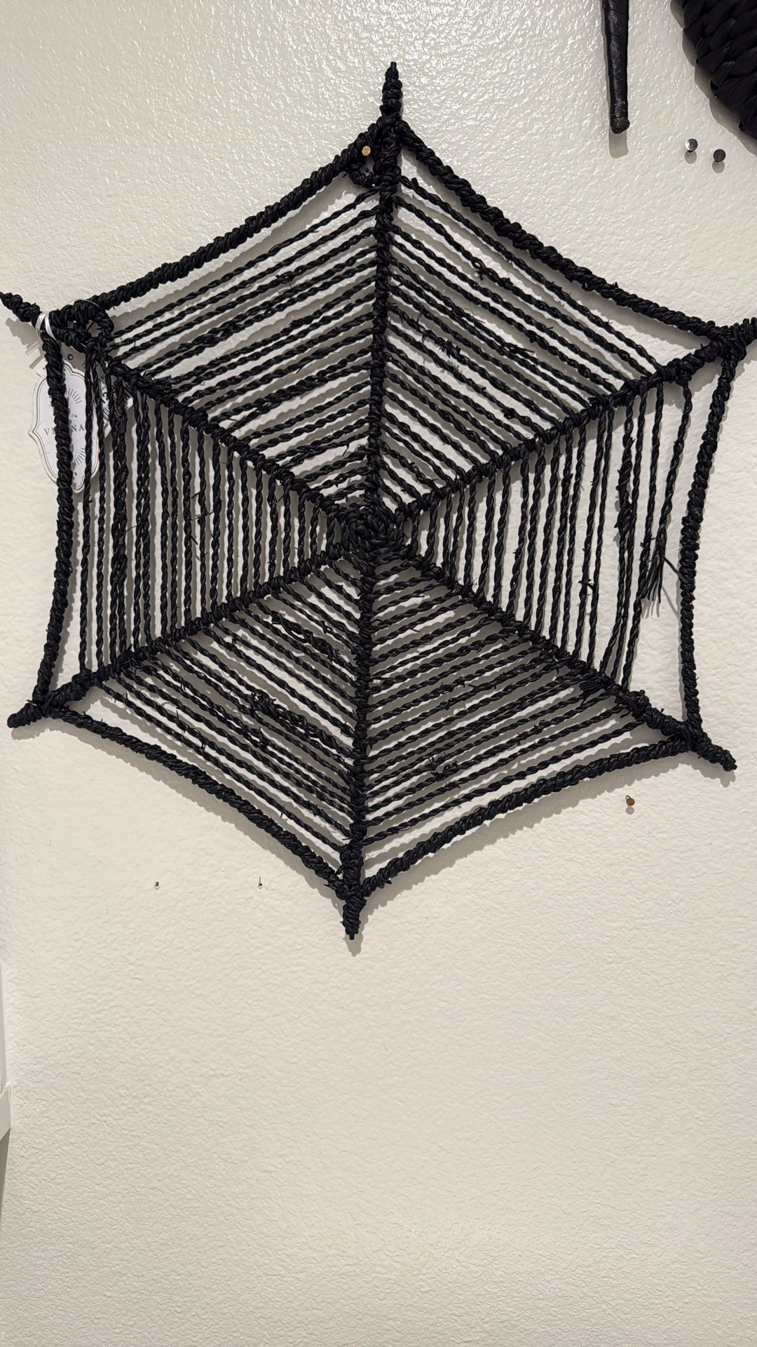 Black Spider Web 12 X 18 in.