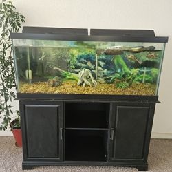 75 Wide Fish Tank With Stand 