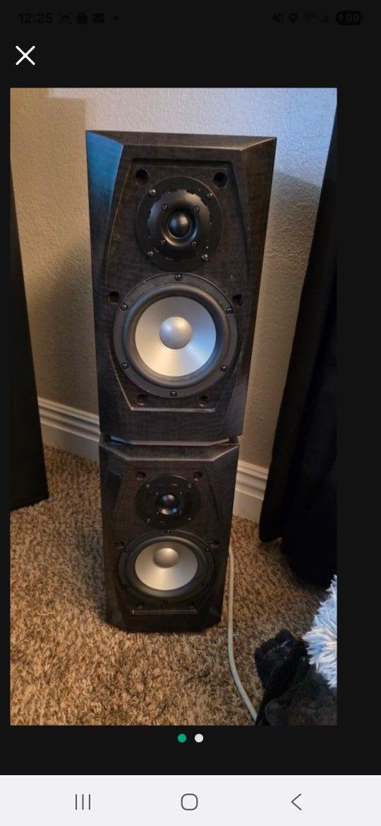 Bookshelf Speaker With New Tweeters