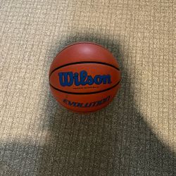 wilson basketball