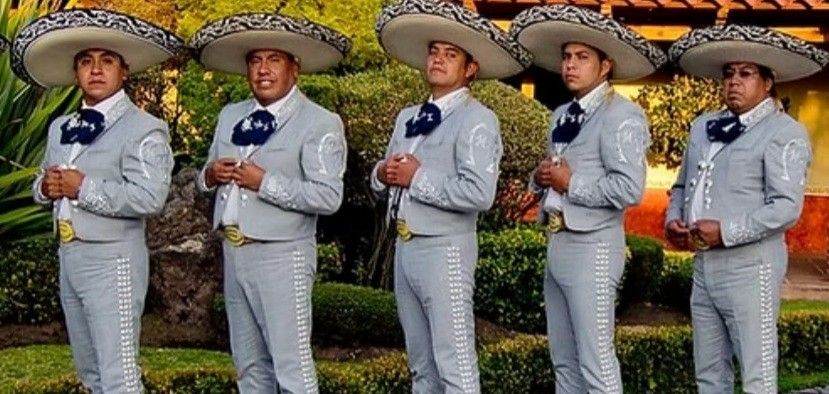 Vihuela Mariachi
