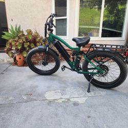 Wired Freedom E-Bike