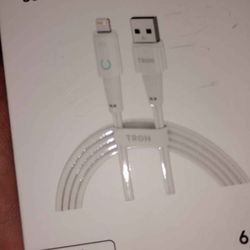 Tron iPhone Charger 