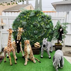 Jungle Animals 🦒🦁