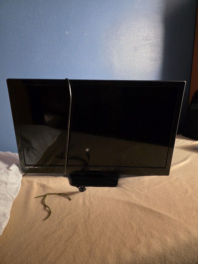 TV Without Sound Works But Needs A New Speaker