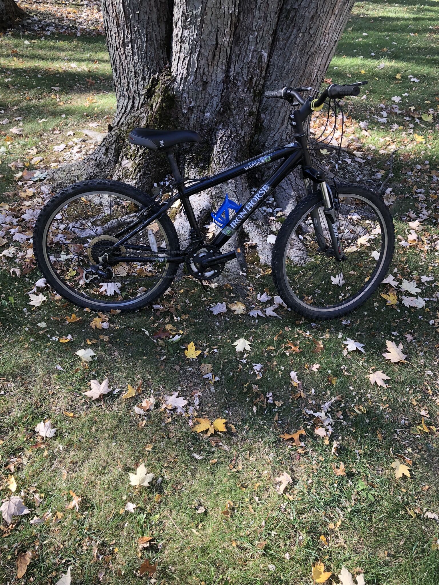 24” Mountain Bike 