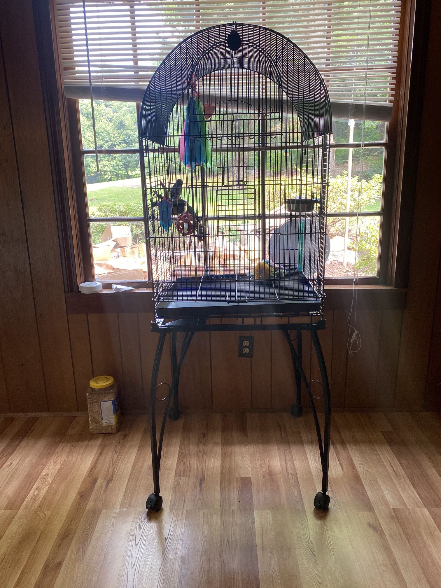 Bird Cage And Budgies 