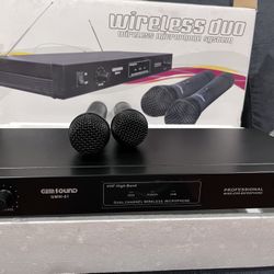 New  Wireless Duo Microphone System 