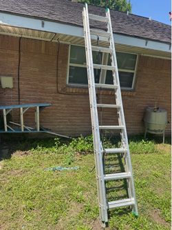 Ladder
