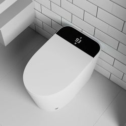 NJ-Simple Floor Mounted Elongated Siphon Jet One-Piece Toilet 12'' Rough in Size with Synthetic