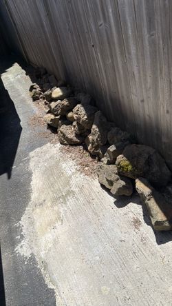Free Lava Rocks YES STILL AVAILABLE
