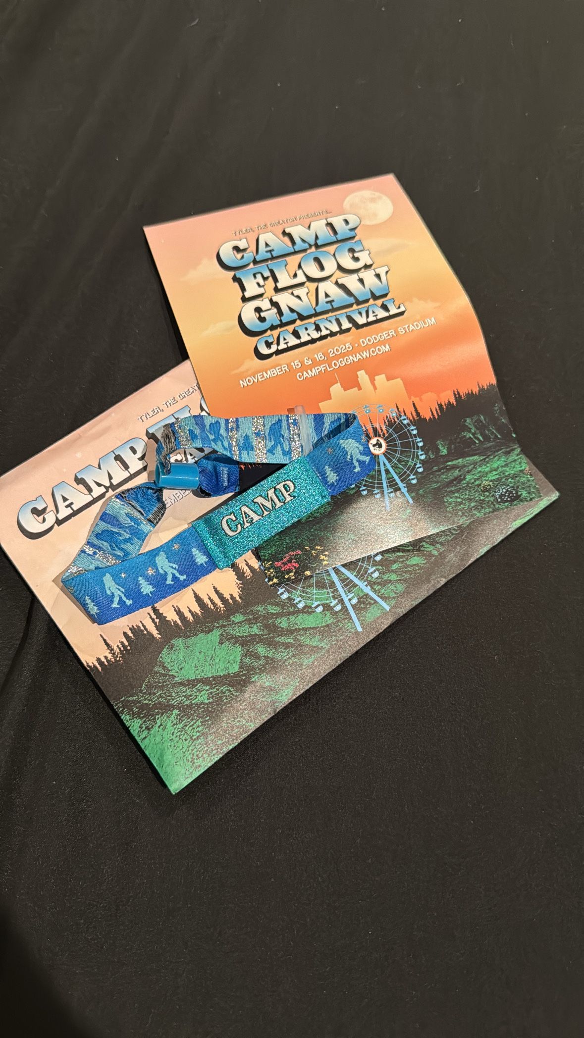 GA Camp Flog Gnaw Carnival 2025