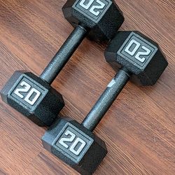 20 lb dumbbells