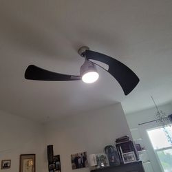 2 Fanimation  52" ceiling fan. 2 blade and led light