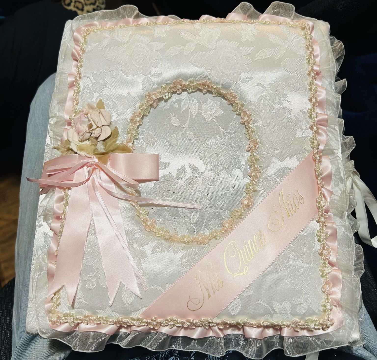 Quince Baby Girl Photo Binder (vintage )