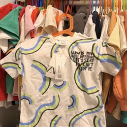 NWT Zara 2t Toddler Boy T Shirt 