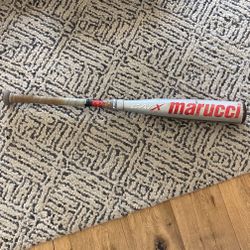 Baseball USSSA Bat
