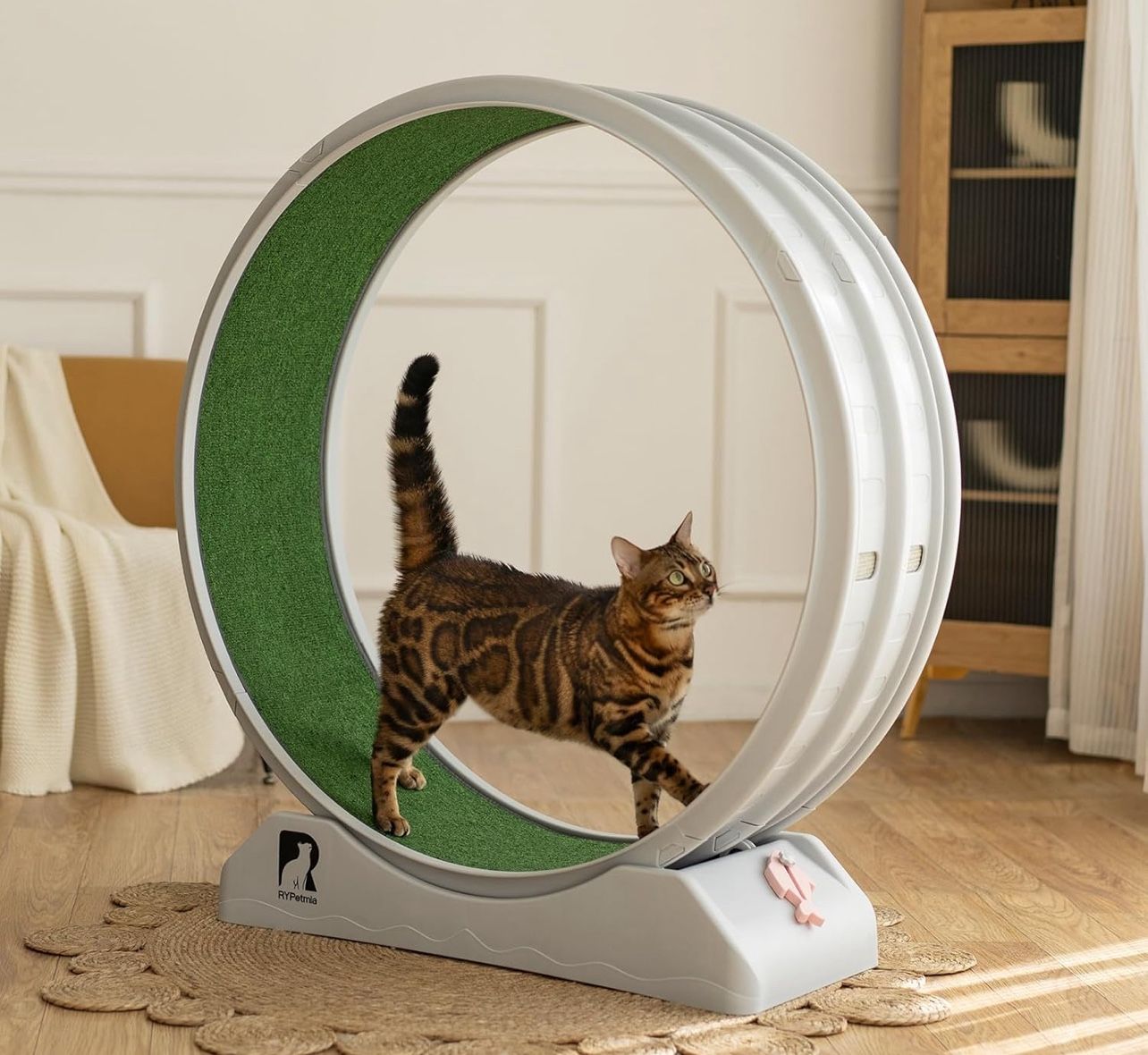 Cat wheel exercise Walker Treadmill