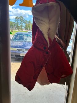 Assorted dog clothes