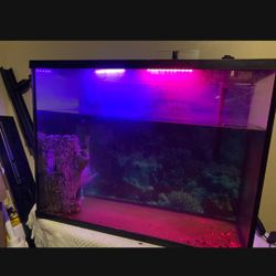 35 Gallon Fish Tank With Led Color Changing Lights 