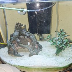 6 Gal Corner Tank