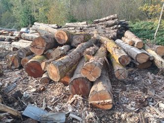 Wanted Maple and birch  logs. 