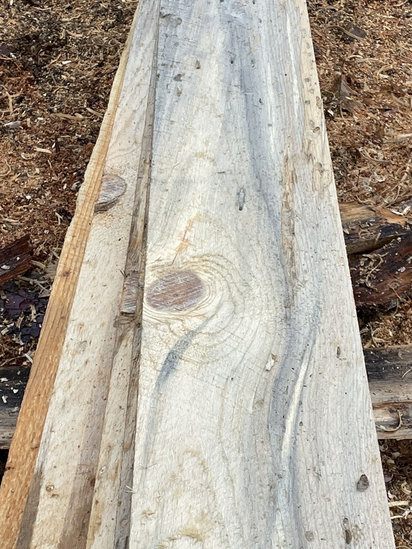 Blue Stain Pine 1x8 Whole Stack