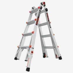 Little Giant Ladder
