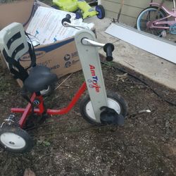 Will Loved Special Need Trike 