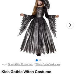 Spirit Halloween - Halloween Costume - Girls Gothic Witch Sparkly Dress - ELPHABA Wicked Wizard Of Oz