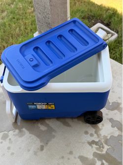 Igloo 38 cooler