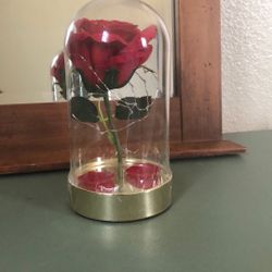 Flower With Jar Glass 