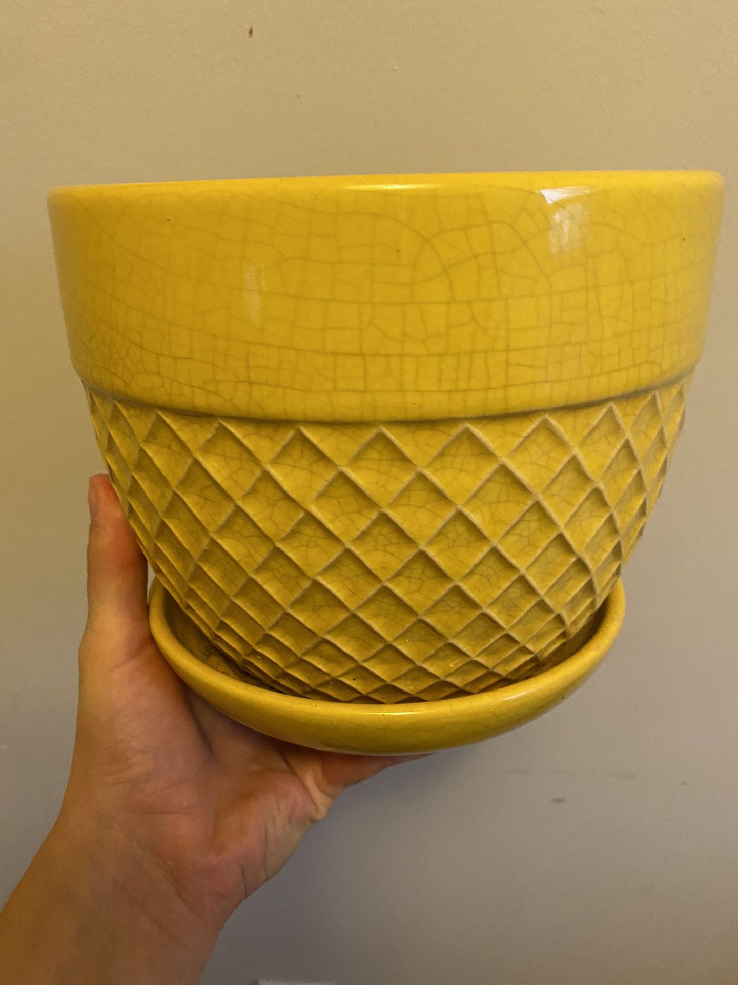 Bright Yellow Plant Pot