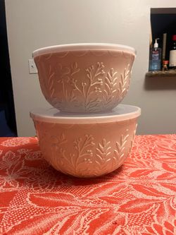 2 large serving container bowls