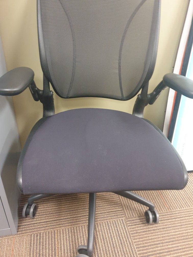 Humanscale Different World Chair