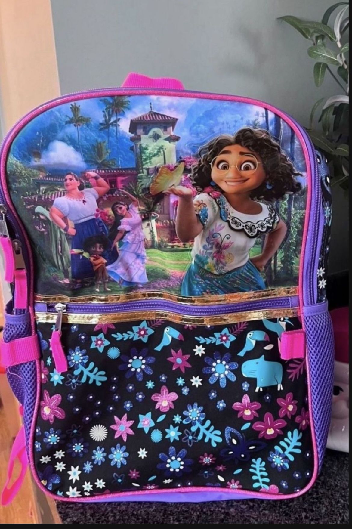 Mochila /encanto Backpack