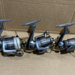 Daiwa Regal Spinning Reel