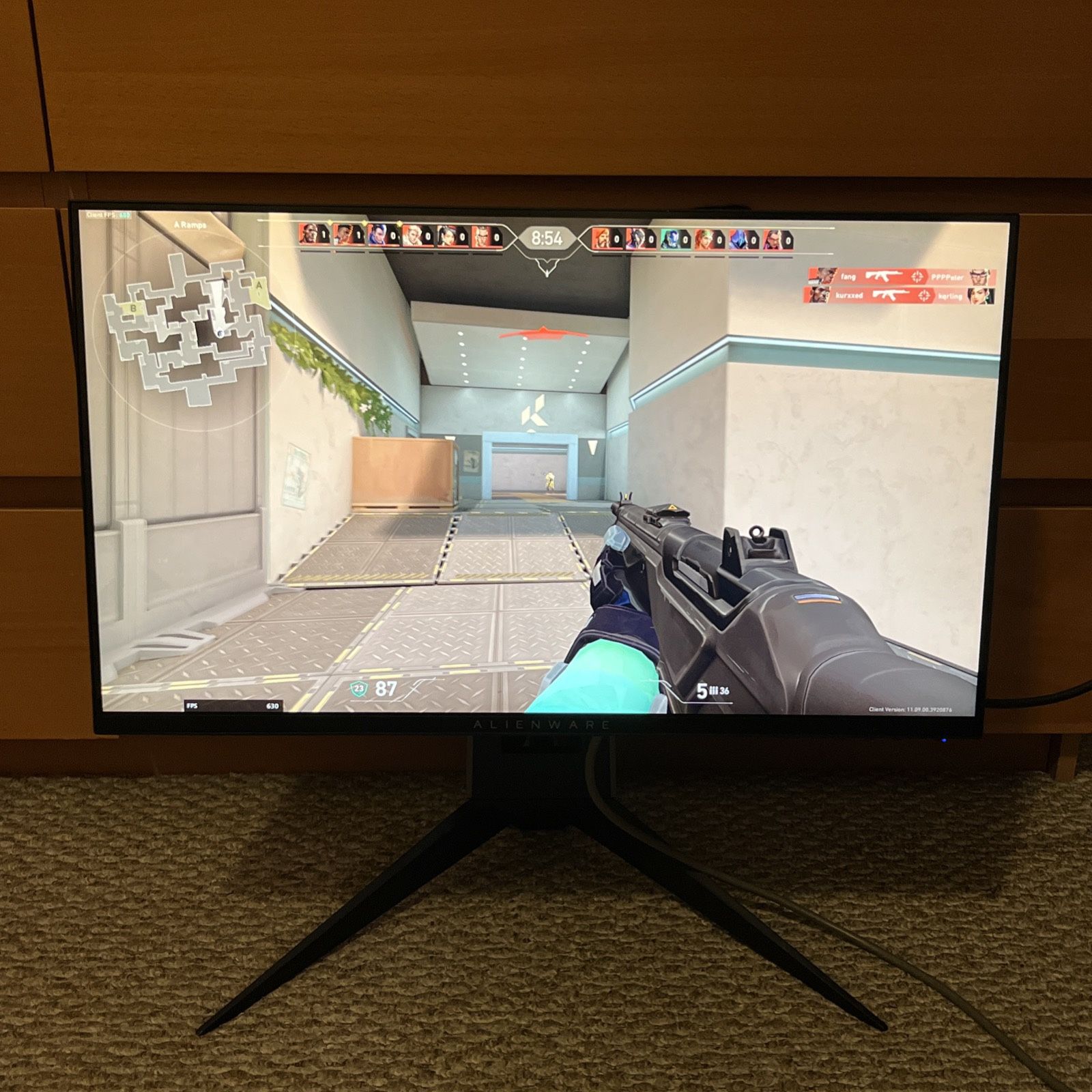 Alienware AW2518 24.5" 16:9 Gaming Monitor - Gray