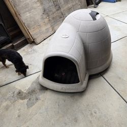Petmate Indigo Igloo Dog House – Large – Good Condition